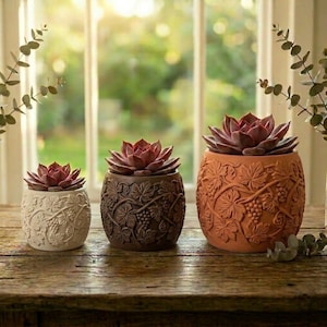 May include: Three decorative succulent plants in ornate pots. The pots are in cream, brown, and terracotta colors, each with a grape vine design. The succulents have reddish-purple leaves. The pots are arranged on a wooden surface.