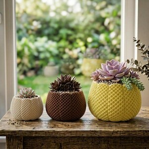May include: Three round planters with a waffle-like grid texture, each containing a succulent plant. The smallest planter is cream, the medium is dark brown, and the largest is yellow, holding a light purple and green succulent arrangement.