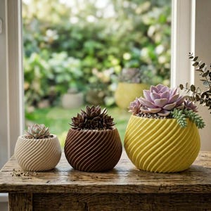 May include: Three round planters with a diagonal ribbed texture, each containing a succulent plant. The smallest planter is cream, the medium is dark brown, and the largest is bright yellow, holding a large purple and green succulent.