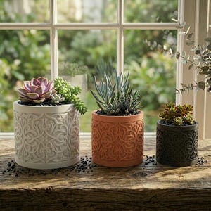 May include: Three decorative cylindrical planters with succulents. The planters are in white, terracotta, and dark green. Each planter has a detailed, embossed floral pattern. The plants include a purple succulent, blue-green succulents, and a red-green succulent.