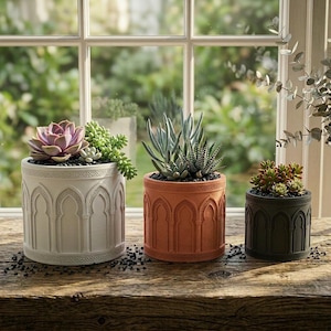 May include: Three decorative ceramic planters with succulents. The planters are in cream, terracotta, and dark green. Each planter has an arched design. The succulents include a purple succulent, a green succulent, and a green and white succulent.