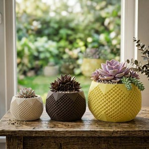 May include: Three round planters with a geometric grid pattern, each containing a succulent plant. The smallest is cream, the middle is dark brown, and the largest is yellow. The planters are arranged in a row on a wooden surface.