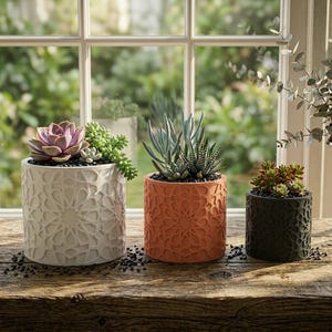 May include: Three decorative cylindrical planters with succulents. The planters are in cream, orange, and dark green. Each planter has a geometric pattern. The succulents include a pink flower, blue-green leaves, and a mix of green and red.