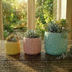 May include: Three cylindrical planters in yellow, light pink, and light blue, each featuring embossed coral reef patterns including seahorses and fish. The planters contain various green succulents, arranged in a row on a wooden surface.