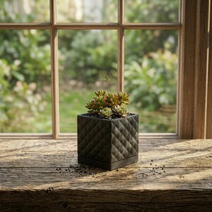 Può includere: Un vaso quadrato nero con un motivo trapuntato, contenente diverse piccole piante grasse. Le piante grasse hanno foglie verdi e rossastre. Il vaso è su una superficie di legno vicino a una finestra.