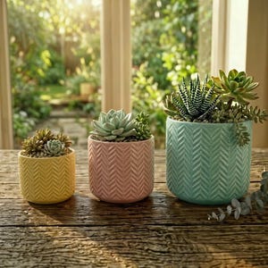 May include: Three ceramic planters with succulents. The planters are yellow, pink, and teal, each with a textured chevron pattern. The plants include a variety of succulents with green and gray-green leaves. The planters are on a wooden surface.
