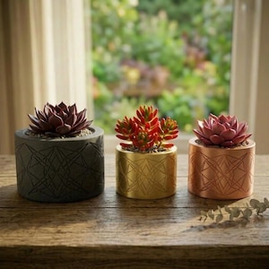 May include: Three cylindrical planters with geometric patterns, each holding a succulent. The left planter is dark gray with a dark purple succulent, the center is gold with a red-tipped succulent, and the right is copper with a pink succulent.