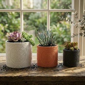 May include: Three decorative cylindrical planters with succulents. The planters are in cream, terracotta, and black, each with a detailed embossed pattern. The plants include a purple succulent, a green succulent, and a mix of green and red succulents.