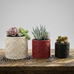 Op de afbeelding: Drie cilindrische plantenbakken met geometrische patronen, elk met vetplanten. De plantenbakken zijn crème, rood en zwart en staan op een houten oppervlak. De vetplanten hebben verschillende kleuren en texturen, met zwarte kiezels aan de basis.