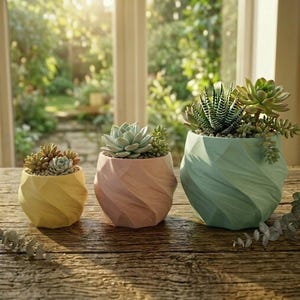Vaso per piante grasse a spirale attorcigliata / Vaso geometrico a spirale stampato in 3D, decorazione moderna per la casa
