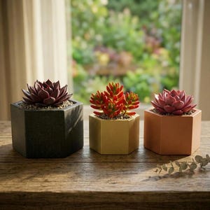 May include: Three hexagonal planters in black, gold, and terracotta colors, each containing a different succulent plant. The black planter holds a dark purple succulent, the gold one holds a red and green succulent, and the terracotta one holds a pink succulent.