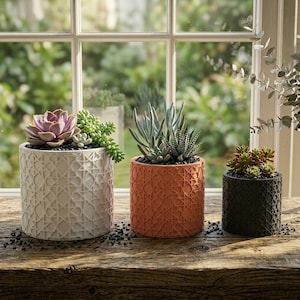 May include: Three decorative cylindrical planters with succulents. The planters are white, orange, and dark gray, each with a geometric pattern. The succulents feature shades of green, purple, and red. The planters sit on a wooden surface.