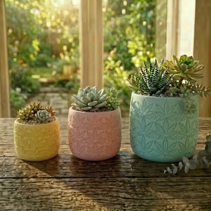 May include: Three cylindrical ceramic planters in yellow, pink, and light blue, each featuring an embossed leaf pattern. The planters contain various green succulents, including a striped haworthia and rosette-shaped varieties, arranged in a row.