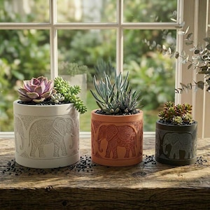 May include: Three cylindrical planters with elephant designs, each holding succulents. The planters are in cream, terracotta, and dark green. The plants include a purple succulent, a blue-green succulent, and a small red succulent.