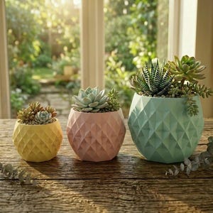 May include: Three geometric-patterned planters in yellow, pink, and green, each filled with succulents. The planters are arranged on a wooden surface, with a bright window in the background.
