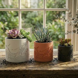 May include: Three cylindrical planters with whale designs, each holding succulents. The planters are in cream, terracotta, and dark gray. The plants include a pink succulent, a green succulent, and a variety of green succulents.