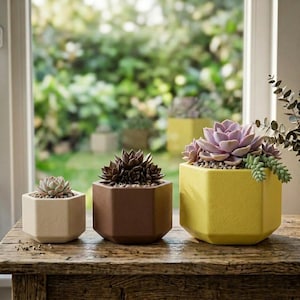 May include: Three hexagonal planters in cream, brown, and yellow, each containing a succulent plant. The planters are arranged in a row on a wooden surface, with the smallest on the left and the largest on the right, showcasing a matte finish.