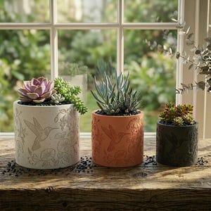 May include: Three cylindrical planters with succulents sit on a wooden surface. The planters are cream, terracotta, and dark green, each with a hummingbird and floral design. The plants include a pink succulent, blue-green succulents, and a small, colorful succulent.