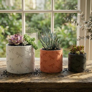 以下が含まれることがあります： 多肉植物が入った3つの円筒形のプランター。プランターは白、オレンジ、濃い緑色で、それぞれトンボの模様があります。白いプランターには紫色の多肉植物、オレンジ色のプランターには青緑色の多肉植物、緑色のプランターには赤緑色の多肉植物が入っています。