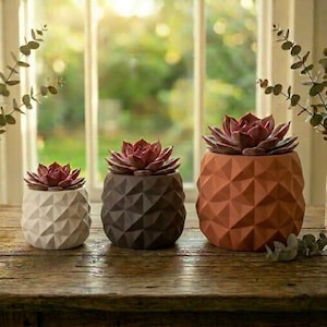 May include: Three decorative succulent plants in geometric patterned pots. The pots are white, dark gray, and orange. The succulents have reddish-purple leaves. The plants are arranged on a wooden surface in front of a window.