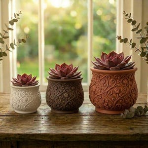 May include: Three decorative succulent plants in ornate pots. The pots are in shades of white, brown, and terracotta, each with a detailed floral pattern. The succulents have reddish-purple leaves. The plants are arranged on a wooden surface.