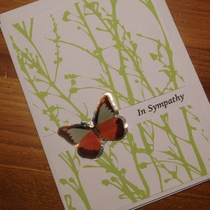 Carte de sympathie, sympathie, carte de condoléances, carte de voeux, carte de sympathie papillon, carte de sympathie