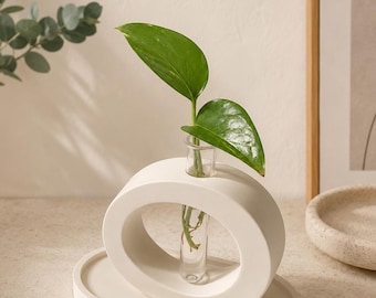 Minimalist Circle Propagation Vase | Glass Tube Plant Cutting Station