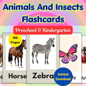 May include: A set of educational flashcards titled Animals And Insects Flashcards Preschool & Kindergarten with 100 Pages. The cards feature illustrations of a lion, horse, zebra, butterfly, and ladybug with their names printed in black text.