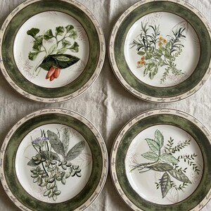 Servizio da tavola American Atelier Bouquet Garni alle erbe aromatiche (12 pezzi)