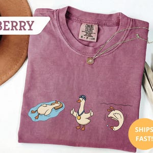 May include: Berry-colored t-shirt with a crew neck. The shirt features three cartoon geese in different poses: floating on a tube, giving a thumbs up with a medal, and diving. The text "BERRY" and "SHIPS FAST!" are also visible.