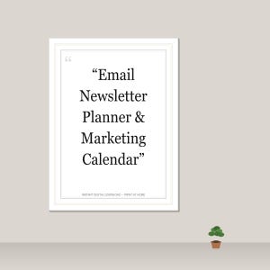 Email Newsletter Planner & Marketing Calendar | Subscriber Tracker | Instant Download