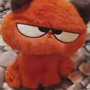 May include: An orange plush toy cat with a grumpy expression. The cat has large white eyes, a black nose, and dark brown ears. The plush toy is sitting on a bed of gray and white stones.