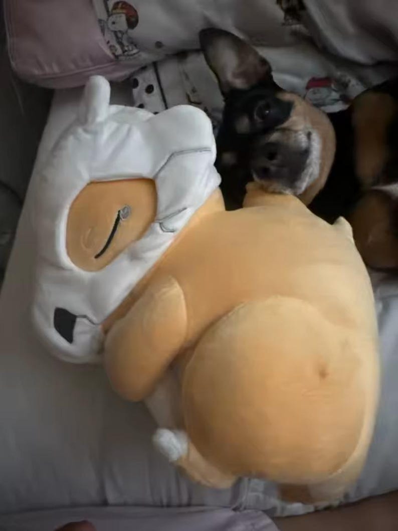 K&ouml;nnte beinhalten: Ein hellorangefarbenes und wei&szlig;es Cartoon-Charakter-Kissen liegt auf einem Bett. Ein schwarz-brauner Hund ist teilweise zu sehen und ruht seinen Kopf auf dem Kissen. Das Kissen hat ein Cartoon-Gesicht.