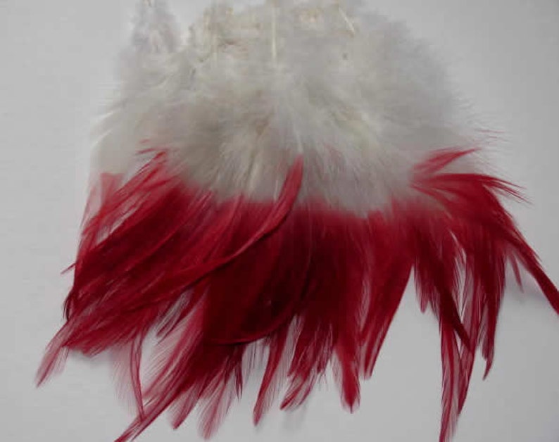 40 Strung Rooster Saddle Hackle Feathers Red Dyed Tip 5 8 inches image 1