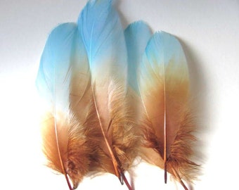 Six Goose Shoulder Feathers -  Dyed Light Turquoise and Light Brown