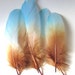 see more listings in the Goose Feathers section