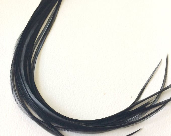 Real Feathers Loose Rooster Feathers IRIDESCENT Black Rooster Etsy