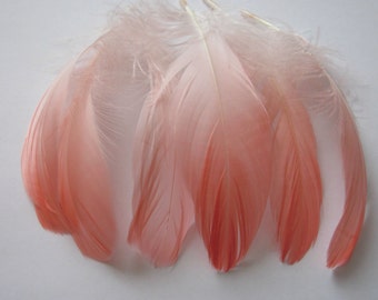Six Goose Shoulder Feathers - Coral Ombre