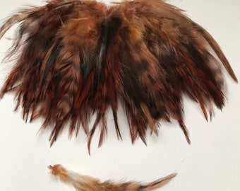 40 Loose Chinchilla Rooster Saddle Hackle Feathers - Brown