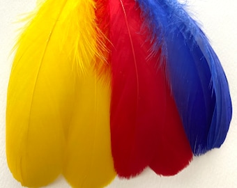 Six Goose Shoulder Feathers - Primary Colors Mix