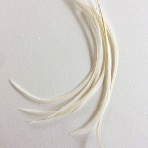 Six Stripped Goose Biots - White