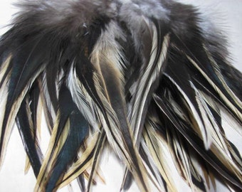 40 Loose Rooster Saddle Hackle Feathers - Badger (5 - 8 inches)