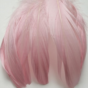 Six Goose Shoulder Feathers - Light Pink