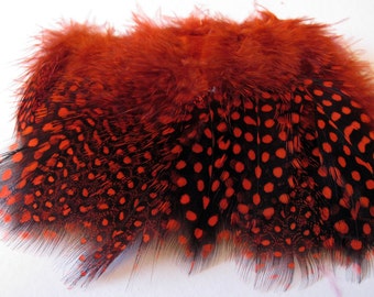 Strung Guinea Fowl Feathers - Dyed Orange