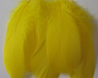 Six Goose Shoulder Feathers - Yellow