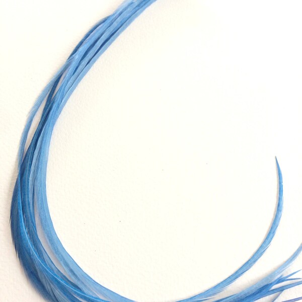 12 Long Rooster Saddle Hackles - Light Blue (8 - 10 inches) Hair Extension Feathers