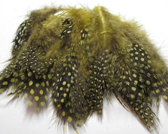 Strung Guinea Fowl Feathers - Golden Olive