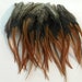 see more listings in the Rooster Saddle Hackle section