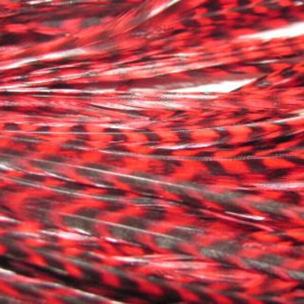 12 Grizzly Long Rooster Saddle Hackles - Red (8 - 10 inches)