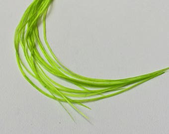 12 Long Rooster Saddle Hackles - Fl. Green (8 - 10 inches) Hair Extension Feathers